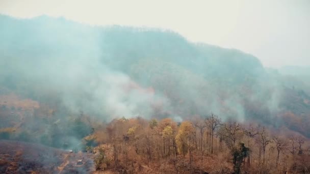 Le smog des feux de forêt. Déforestation et crise climatique en Asie. "Toxic haze from widespread rainforest fires". Vidéo aérienne 4k.