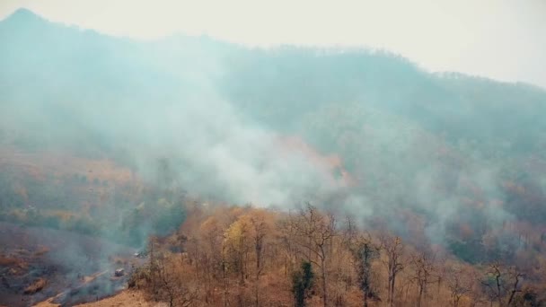 Smog Von Waldbränden Entwaldung Und Klimakrise Asien Giftiger Dunst Von — Stockvideo