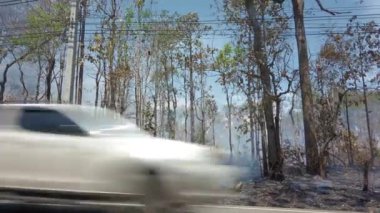 İklim krizi. Kurak mevsimde, ulusal parkta yer yangını. Araba yol boyunca kameranın önünde gidiyor. Orman yangınlarıyla yağmur ormanlarının yok edilmesi. 4K çerçeve