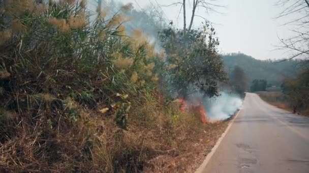 在农村烧庄稼 农业和生态系统危机 草原干火的毒雾 空中视频4K — 图库视频影像