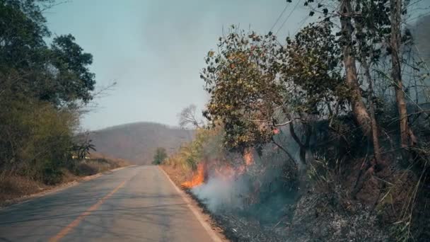 Queimar Colheitas Campo Crise Fazendas Ecossistemas Névoa Tóxica Fogo Prados — Vídeo de Stock