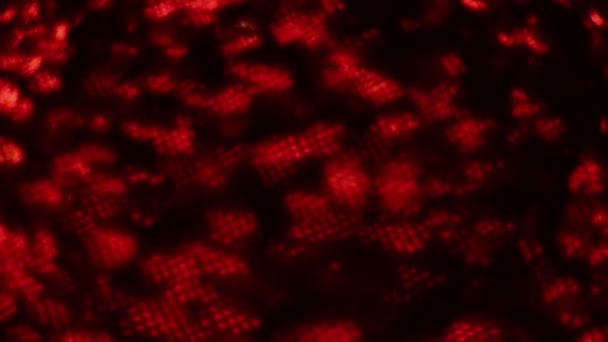 Résumé rouge fond brûlant Vidéo Full HD au ralenti. Brûlure de texture flamboyante dans l'obscurité.