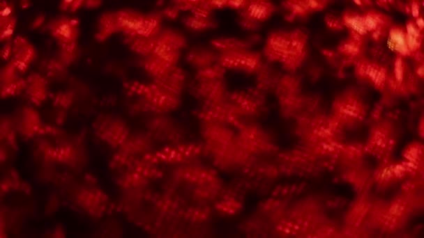 Résumé rouge fond brûlant Vidéo Full HD au ralenti. Brûlure de texture flamboyante dans l'obscurité.