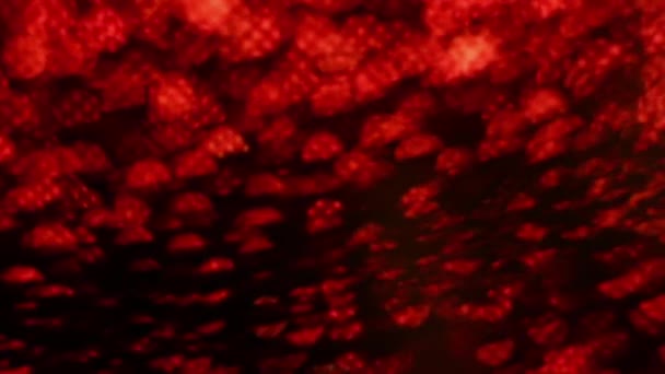 Rouge Joyeux Noël magique bokeh lumières fond. Glamour joyeux papier de valentines jour. Luxe brillant Full HD vidéo pour le Nouvel An, Célébration unniversaire et de la cérémonie de mariage.