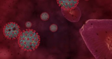 Yüksek konsantrasyon Coronavirus hastalığı Covid-19. Virüs ve kırmızı kan hücrelerinden oluşan animasyon grubu mikroskop altında toplanıyor. 3B görüntüleme 4k