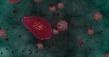 Yüksek konsantrasyon Coronavirus hastalığı Covid-19. Virüs ve kırmızı kan hücrelerinden oluşan animasyon grubu mikroskop altında toplanıyor. 3B görüntüleme 4k