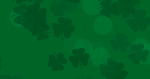 Patrick Day Background Falling Shamrock Leaf Pattern Festive Pub Party — Stock Video