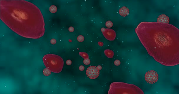 Висока Концентрація Коронавірусної Хвороби Ковід Анімаційна Група Вірусів Еретроцитів Крупним — стокове відео