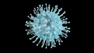 Coronavirus hücreleri. Mikroskop altında solunum enfeksiyonlarına neden olan alfa kanal virüsünün animasyonu. 3B görüntüleme döngüsü 4k