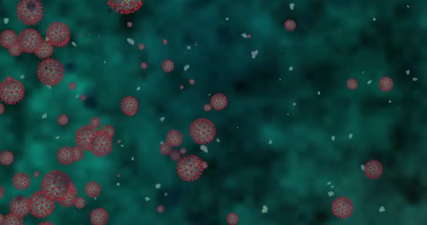 Coronavirus Cells Covid Infectious Disease Fast Transmission Disease High Concentration — Stock Video