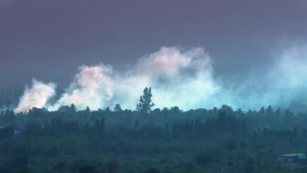 Déforestation Exploitation Forestière Forêt Tropicale Brûlante Incendie Forêt Problème Environnemental — Video