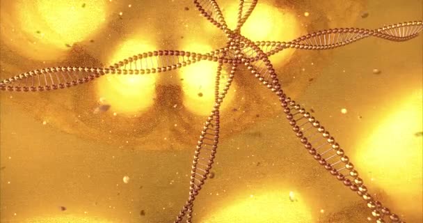 Dna分子の渦を持つ黄金の幾何学的背景 美容整形クリニック用デジタル壁紙 イノベーションと医療の概念 3Dレンダリングループ4K — ストック動画