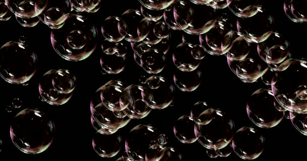 Mýdlové Bubliny Izolované Černém Pozadí Vykreslení Připraven Pro Add Kompozice — Stock video
