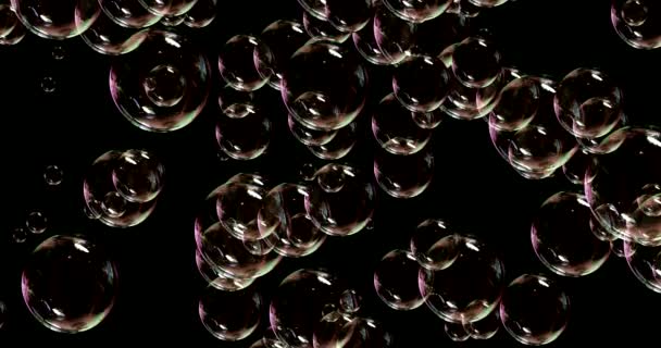 Seifenblasen Isoliert Auf Schwarzem Hintergrund Render Bereit Für Add Compositing — Stockvideo