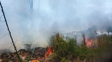Milli parkın yakınındaki yolda çalılık ateşi. İklim değişikliği krizi. Kurak mevsimde kuru bitki yangını. Resim 4k