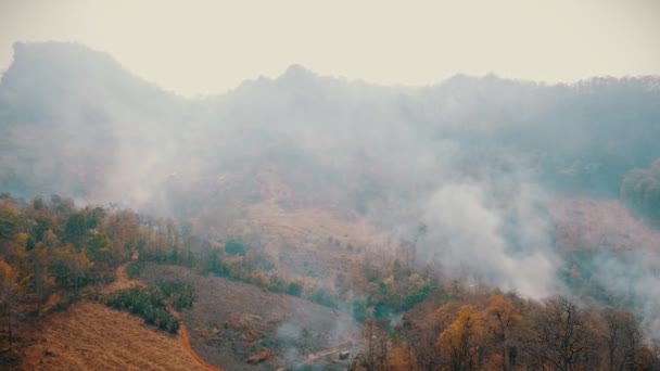Le smog des feux de brousse. Déforestation et crise climatique. Brume toxique provenant des feux de forêt tropicale. Vidéo aérienne 4k .