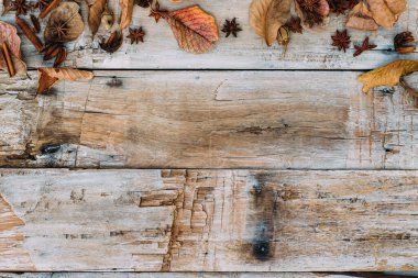Şükran Günü geçmişi. Ahşap arkaplanda kopyalama alanı olan sonbahar yaprakları.