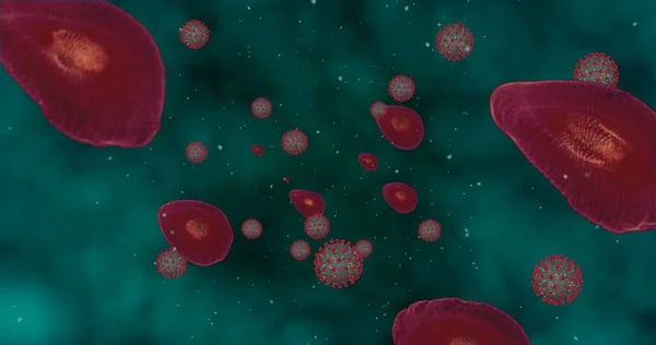 Concentration Élevée Coronavirus Covid Groupe Animation Virus Globules Rouges Microscope — Photo