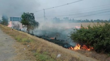Milli parkın yakınındaki yolda çalılık ateşi. İklim değişikliği krizi. Kurak mevsimde kuru bitki yangını. Resim 4k