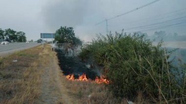 Milli parkın yakınındaki yolda çalılık ateşi. İklim değişikliği krizi. Kurak mevsimde kuru bitki yangını. Resim 4k