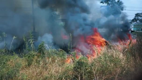 Bushfire près de la route dans le parc national. Crise du changement climatique. Feu de végétation sèche en saison sèche. Fotage 4k