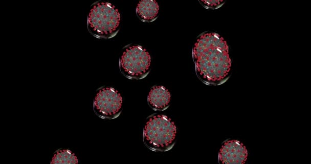黒の背景にコロナウイルス細胞。Covid-19拡散病原体を持つ小さな液滴。3Dレンダリングループ4k — ストック動画
