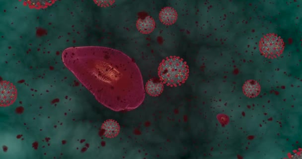 Concentración alta Enfermedad por Coronavirus Covid-19. Grupo de animación de virus y glóbulos rojos de cerca. Representación 3D 4k — Vídeos de Stock