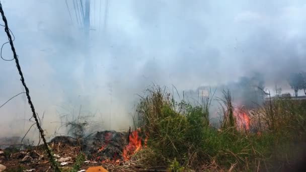 Bosbrand in de buurt van de weg in nationaal park. Klimaatverandering crisis. Droge vegetatie vuur in het droge seizoen. Fotoalbum 4k — Stockvideo