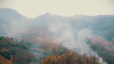 Kırsal kesimde mahsul yakmak. Tarım krizini kesin ve yakın. Tarlalardan gelen zehirli sis. Hava videosu 4k.