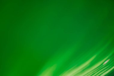 Soyut çiçekli bulanık arkaplan. Tropikal palmiye ağacı arkaplanı