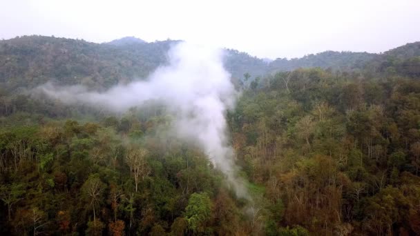 Asap hutan kebakaran. Deforestasi dan krisis iklim. Kabut beracun dari kebakaran hutan hujan. Video udara 4k. — Stok Video