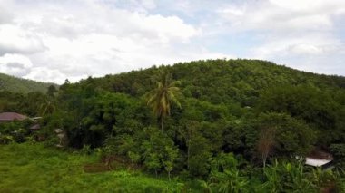 Tayland 'da sabah vahşi orman dağlarının üzerinden güzel bir uçuş. Dağların üzerinden uçan hava videosu.