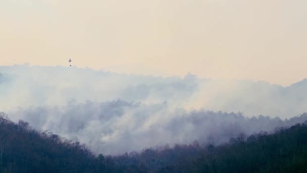 Повітряна пожежа з вогнем під час посухи в горах. Вертоліт випустив лісовий вогонь. вирубка лісів і кліматична криза . — стокове відео