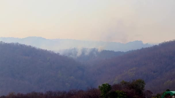 Повітряна пожежа з вогнем під час посухи в горах. Вертоліт випустив лісовий вогонь. вирубка лісів і кліматична криза . — стокове відео