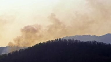 Kuraklık sırasında dağ ormanlarında büyük orman yangınları ve duman. Ormanların tahrip edilmesi ve iklim krizi. Yağmur ormanlarındaki yangınlardan kaynaklanan zehirli sis..