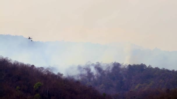 Brandbekämpfung aus der Luft mit Flächenbränden während der Dürre in den Bergen. Hubschrauber löschten Waldbrand. Entwaldung und Klimakrise. — Stockvideo