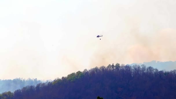 Légi tűzoltás futótűzzel szárazság idején a hegyekben. A helikopter eloltotta az erdőtüzet. Erdőirtás és éghajlati válság. — Stock videók