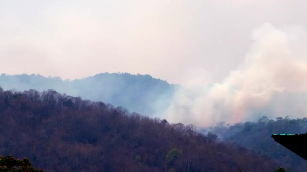 Velké požáry a kouř v horských lesích během sucha. Odlesňování a klimatická krize. Toxický opar z požárů deštných pralesů. — Stock video