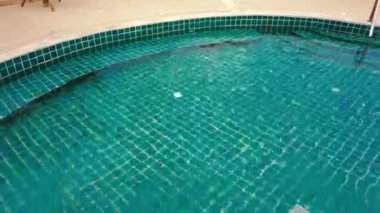 Açık yeşil yüzme havuzunda yüzen genç bir kadın. Açık hava aktiviteleri. Sağlıklı bir yaşam tarzı. Üst görüntü video 4k.