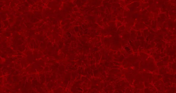 验尸官细胞显微镜下引起呼吸道感染的一组病毒 3D渲染3D插图 — 图库照片