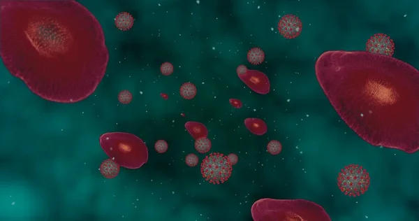 Höjdkoncentration Coronavirus Sjukdom Covid Animation Grupp Virus Och Röda Blodkroppar — Stockfoto