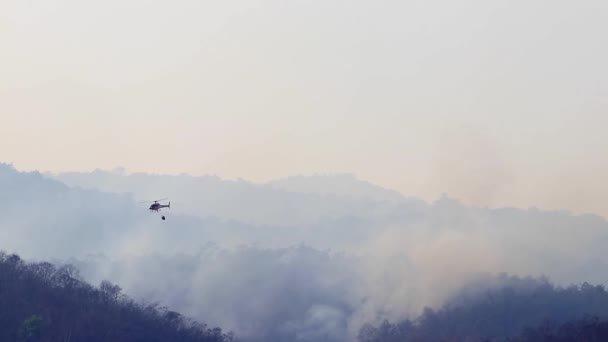 山の中で干ばつの間に山火事と空中消火。ヘリコプターは森林火災を発生させた。森林破壊と気候危機. — ストック動画