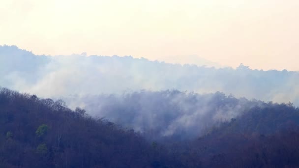 Kuraklık sırasında dağ ormanlarında büyük orman yangınları ve duman. Ormanların tahrip edilmesi ve iklim krizi. Yağmur ormanlarındaki yangınlardan kaynaklanan zehirli sis.. — Stok video