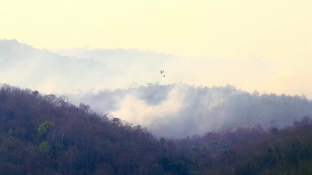 Antincendio aereo con incendio in montagna durante la siccità. L'elicottero ha spento gli incendi boschivi. Deforestazione e crisi climatica. — Video Stock