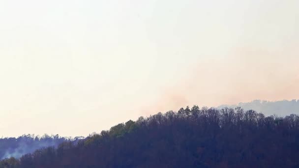 干ばつの間の山の森の中で大きな山火事と煙。森林破壊と気候危機。熱帯雨林火災による有害煙. — ストック動画