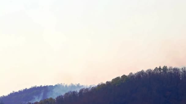 Lutte aérienne contre les incendies de forêt pendant la sécheresse en montagne. L'hélicoptère a éteint un feu de forêt. Déforestation et crise climatique. — Video
