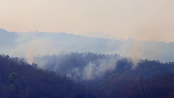 Grandi incendi e fumo nelle foreste montane durante la siccità. Deforestazione e crisi climatica. Nebbia tossica causata dagli incendi delle foreste pluviali. — Video Stock