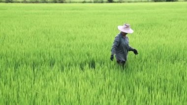 Çiftçi alanında gülümseyen