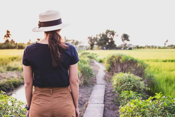 The woman standing on the path in the rice field and the evening light