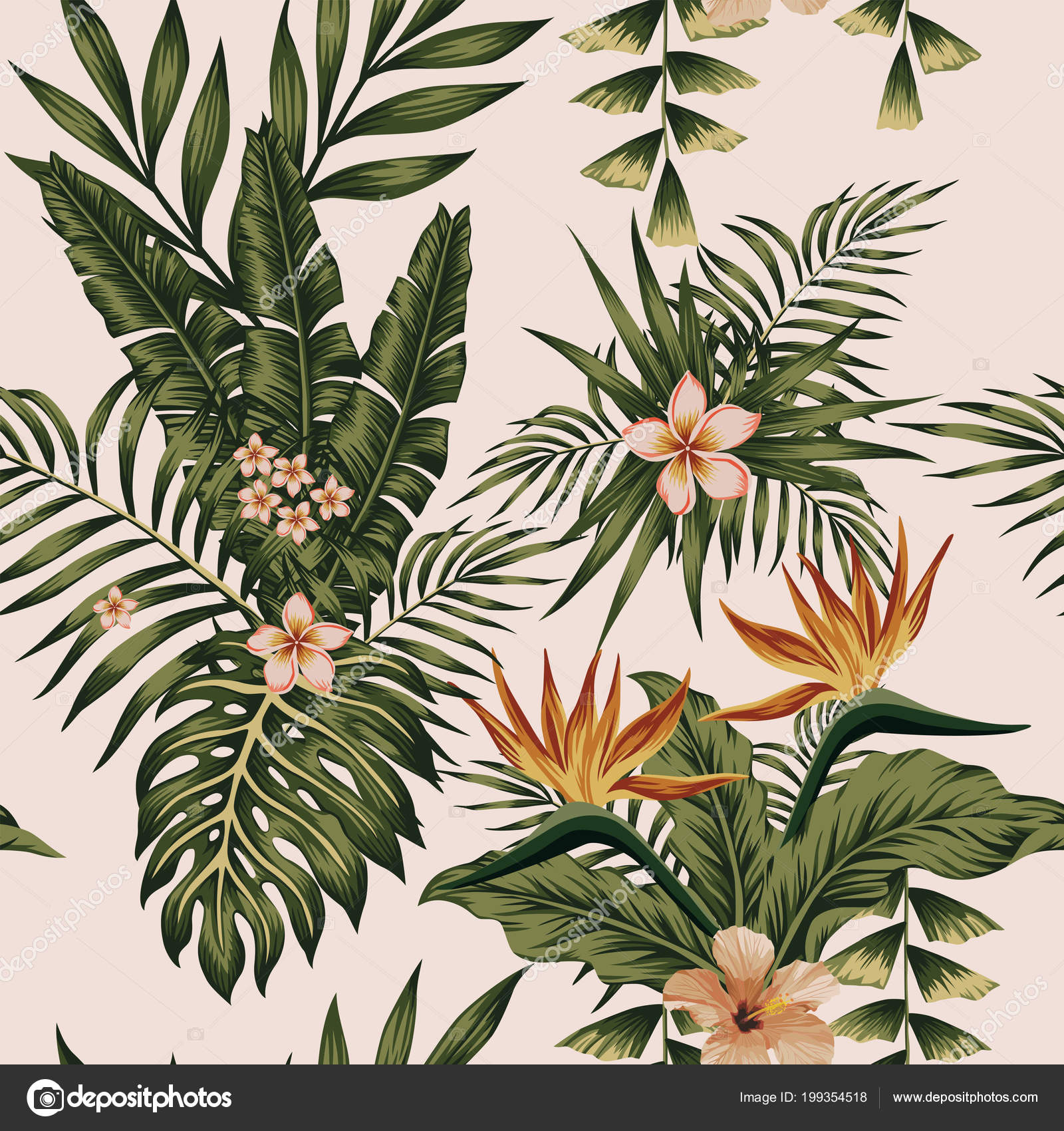 Trendy Illustration Exotic Flowers Hibiscus Plumeria Bird Paradise Plants Banana Trendy Illustration Exotic Flowers Hibiscus Plumeria Bird Paradise Plants Banana